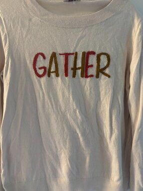 Ann Taylor Loft Fall Gather  XL Sweater